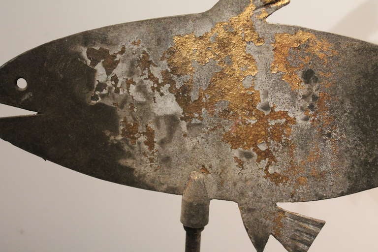 Early 20th Century Fish Weathervane In Good Condition In 3 Oaks, MI