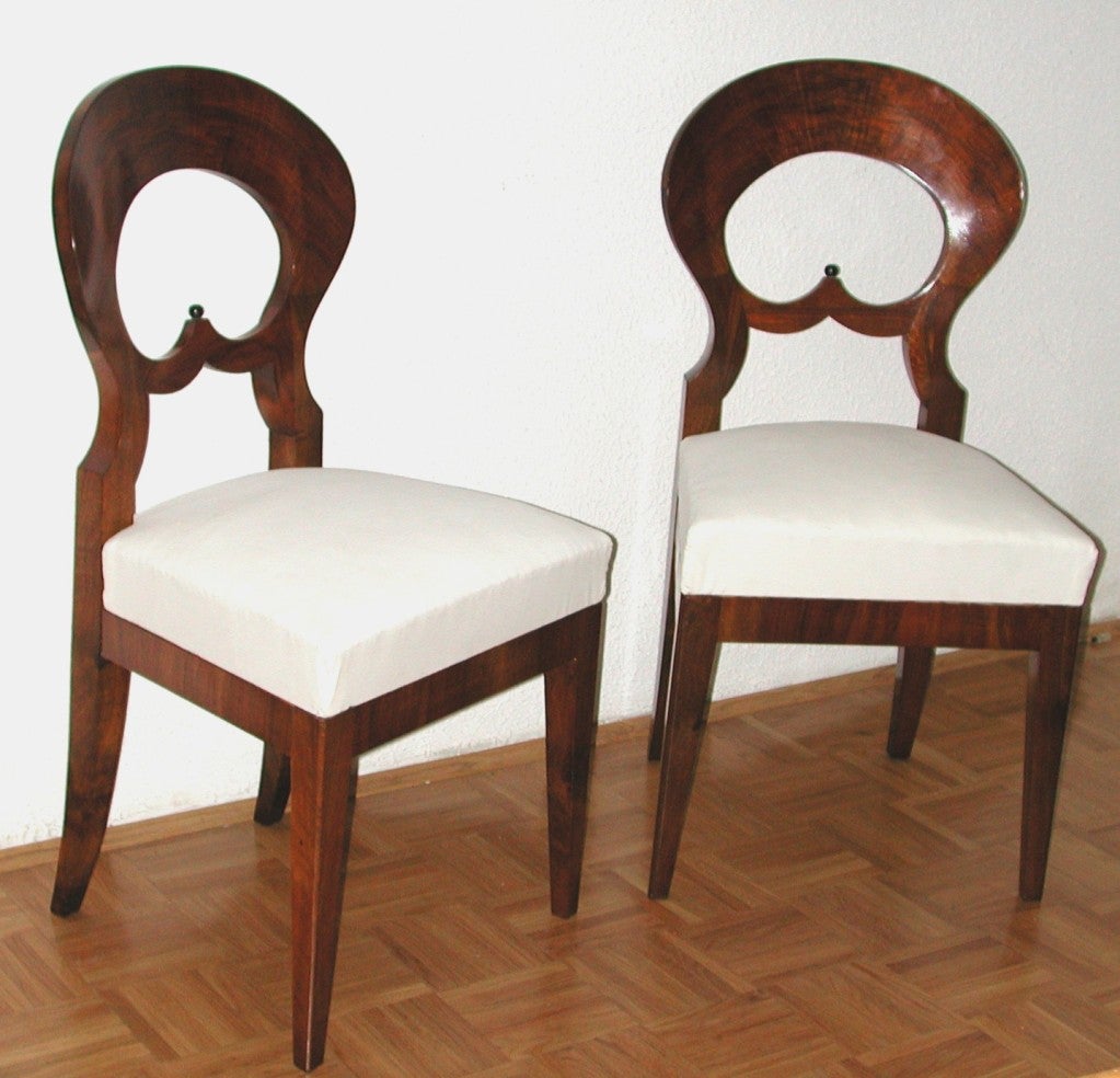 Superbly Elegant Pair  of Austrian Biedermeier Chairs, in thick walnut veneer with fan- shape back and ebonised detail.Original shellack polish.