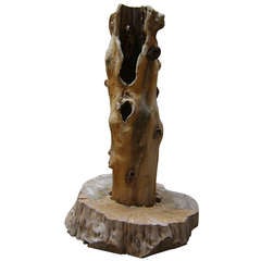 Life Size Olive Tree Trunk Sculpture