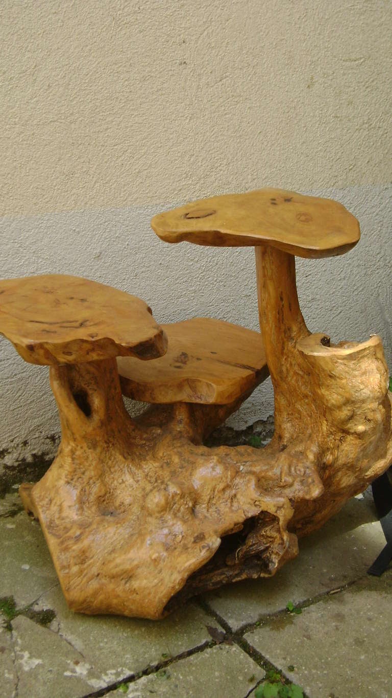 Exotic Wood Root  Three Tier Flower Stand