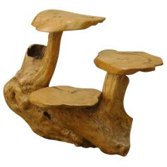 Exotic Wood Root  Three Tier Flower Stand