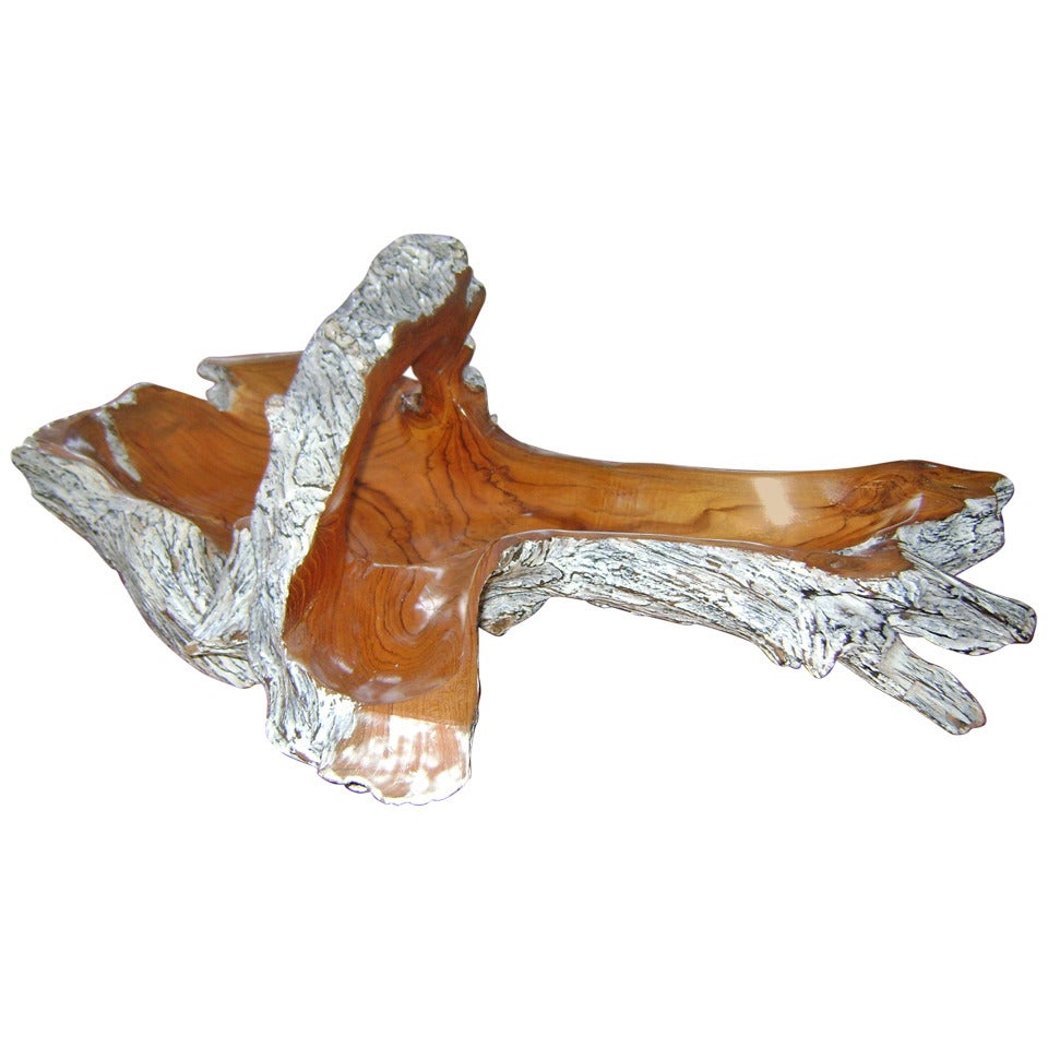 Exotic Wood Root Handcarved Large Fruit Bowl