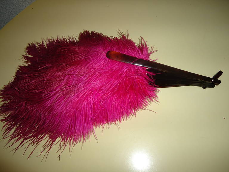 Austrian Antique Fuchsia Pink Ostrich Feathers  Fan w a Seashell For Sale