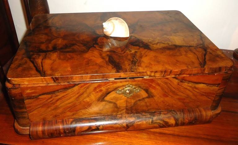 Beautiful Art Deco Walnut Root Veneer Box 1920