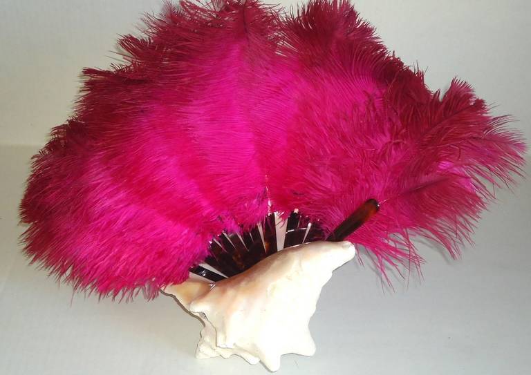 Antique Fuchsia Pink Ostrich Feathers  Fan w a Seashell In Good Condition For Sale In Boca Raton, FL