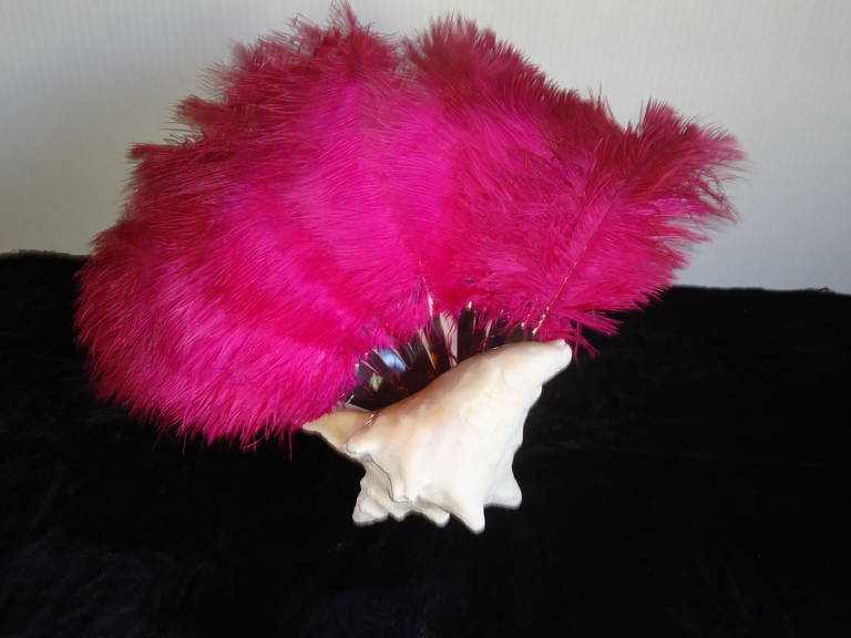 20th Century Antique Fuchsia Pink Ostrich Feathers  Fan w a Seashell For Sale