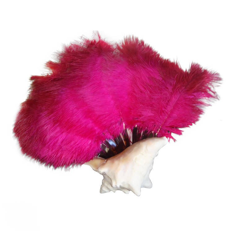 Antique Fuchsia Pink Ostrich Feathers  Fan w a Seashell For Sale