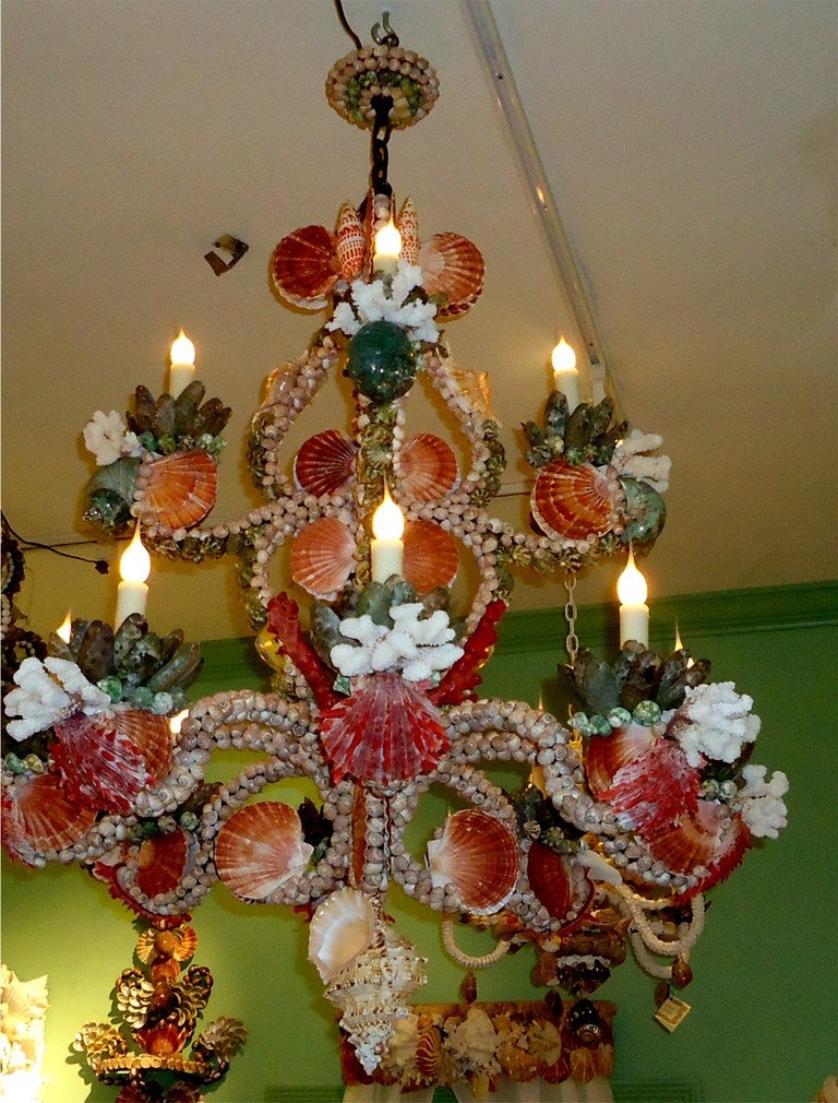 Seashell and coral chandelier, 2 tiers, fantastically beautiful.