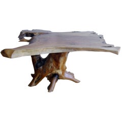 Free form tree root  coffee table