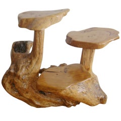 Free form  tree root flower stand /side table