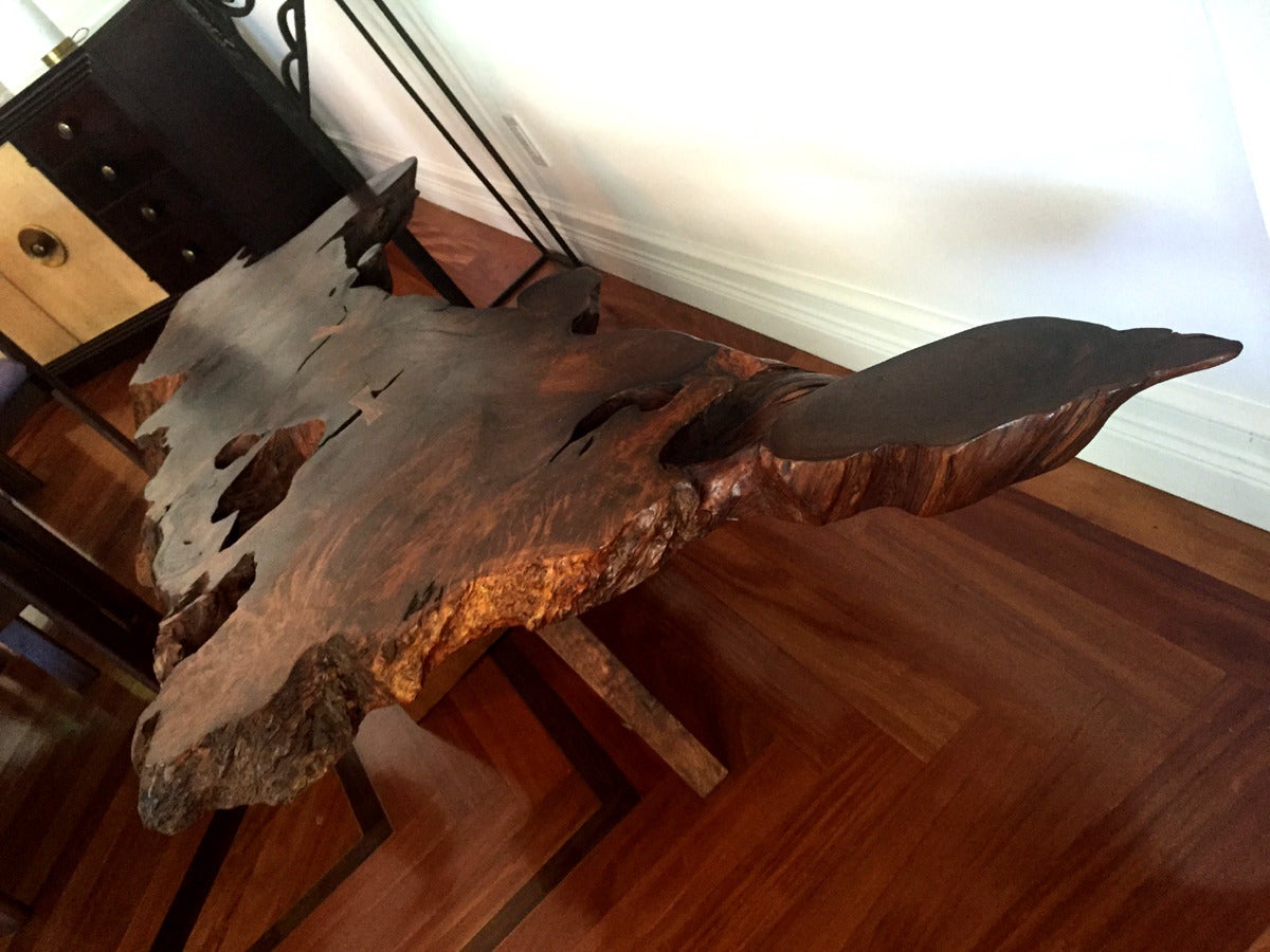 American Rare and Exceptional Walnut and Redwood Root Coffee Table by Mira Nakashima