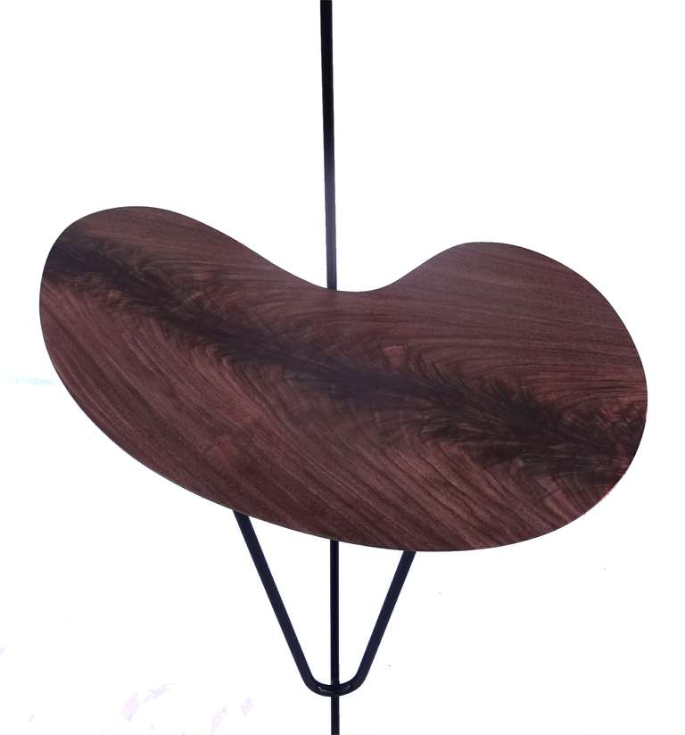 Mid-Century Modern side table Walnut Crotch floor lamp