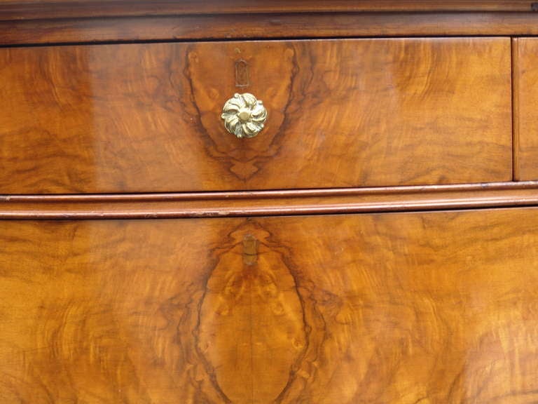Mid-20th Century French Burl Wood Burlwood High Chest of Drawers Dresser Highboy