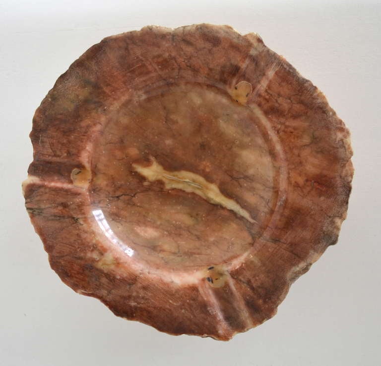 Mid-Century Modern Organic Petrified Wood Tray