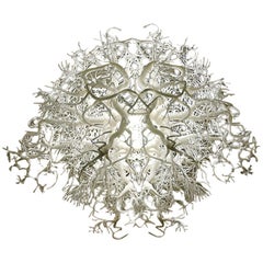 "Forms in Nature" Chandelier by HildenDiaz