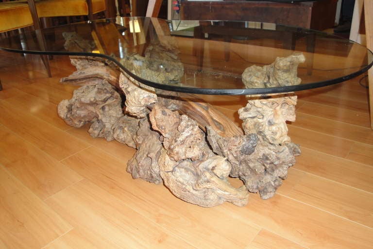 Organic driftwood coffee table with asymmetrical glass top. Freeform design with interesting choice of found driftwood.
