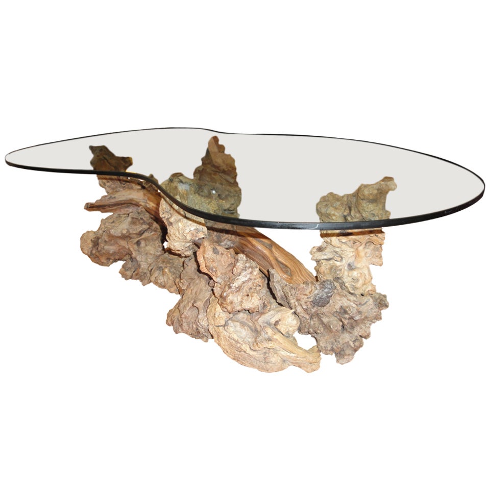 Driftwood Coffee Table with Glass Top