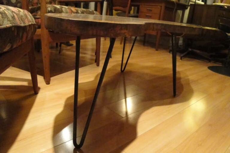 Mid-Century Modern Figured Koa Wood Free Form Coffee Table with Iron Hairpin Legs