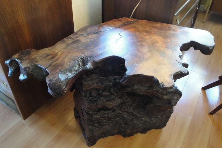 Imposing Free Form Redwood Burl End Table