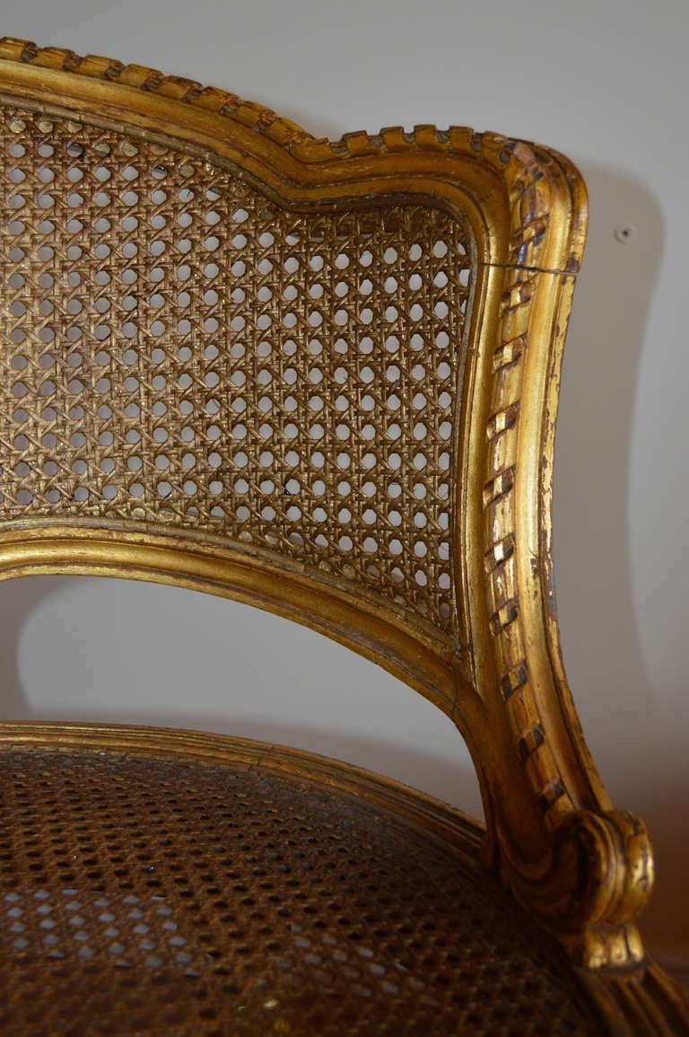 Louis XVI Style Gilded Side Chair In Excellent Condition In Oakville, ON