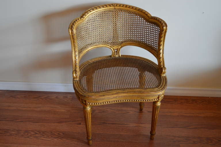 20th Century Louis XVI Style Gilded Side Chair
