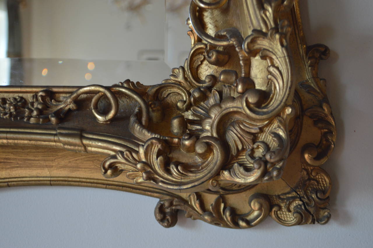 Louis XV 19th Century Gilded Mirror