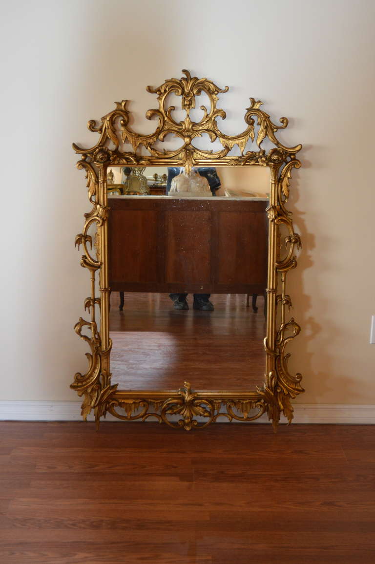 Rococo style hand carved and gilded mirror. Very decorative and perfect size for
fireplace mantel.