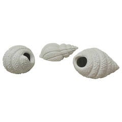 Set of Three Bisque Porcelain Sea Snail Shells