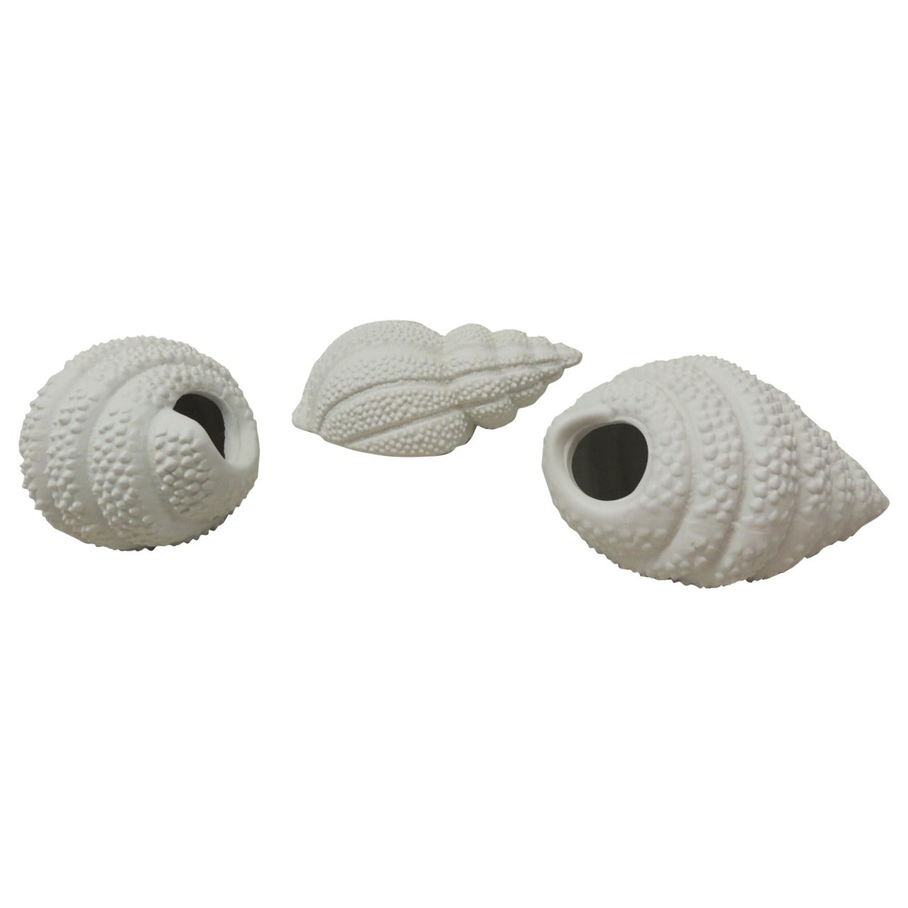 Set of Three Bisque Porcelain Sea Snail Shells