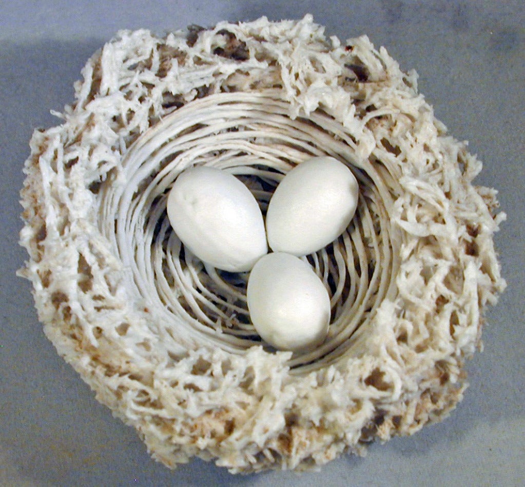Whimsical hard paste biscuit porcelain bird's nest with three eggs by the early Bristol factory is a collector's find. Carefully assembled with tiny pieces of porcelain and hand molded eggs it is a rare and highly sought after piece.