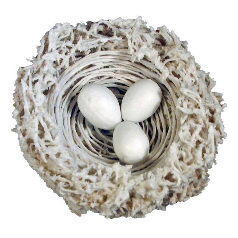 Antique Bristol Hard Paste Biscuit Porcelain Bird's Nest & Eggs