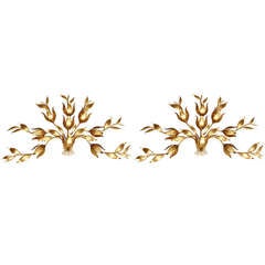 Pair of Beautiful Organic Gilded Wall Lamps for 8-lights Italy 1970s