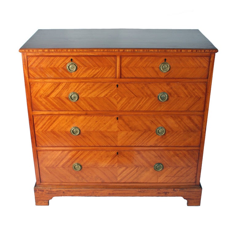 Edwardian Satinwood Chest of Drawers