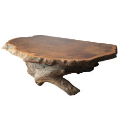 Vintage Burl Wood Slab Coffee Table