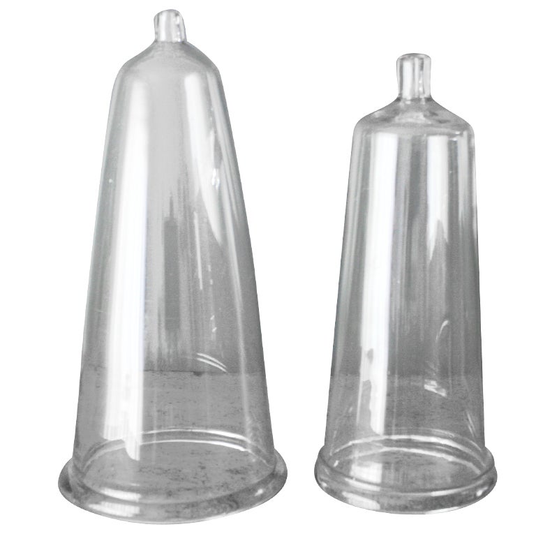 Pair of Vintage Glass Cloches