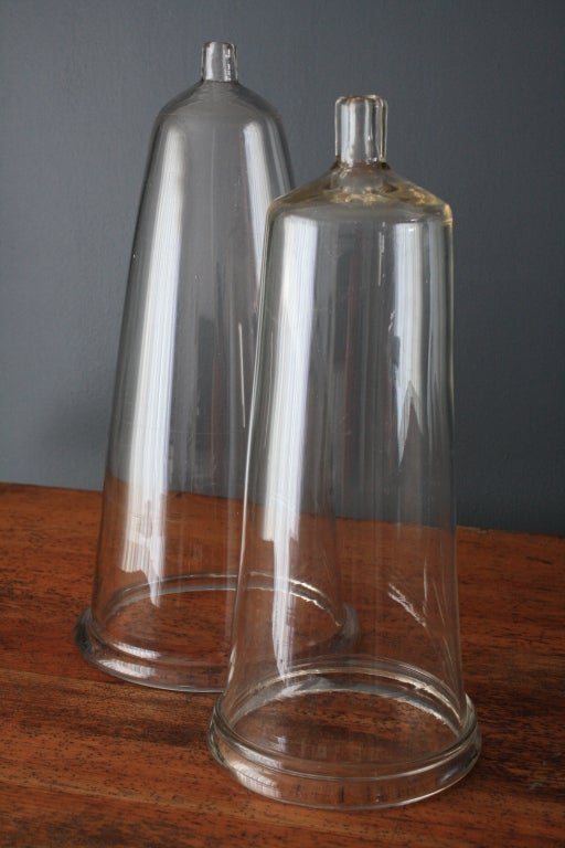 20th Century Pair of Vintage Glass Cloches