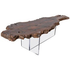 Wood Slab and Lucite Coffee Table