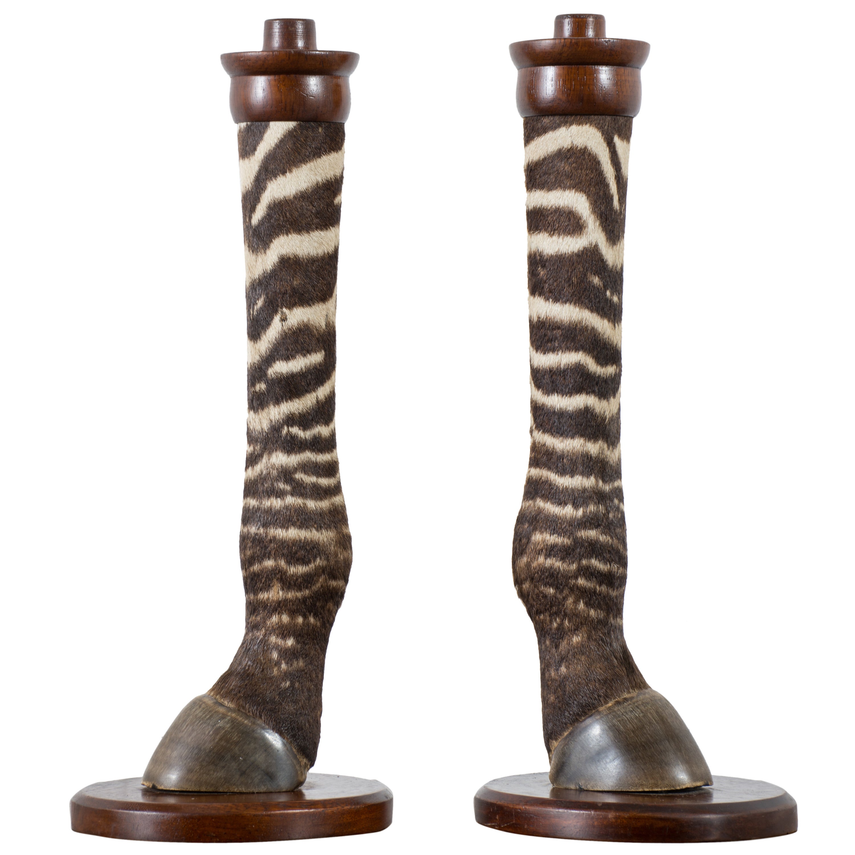 Pair of Vintage Taxidermy Zebra Hoof Candle Holders