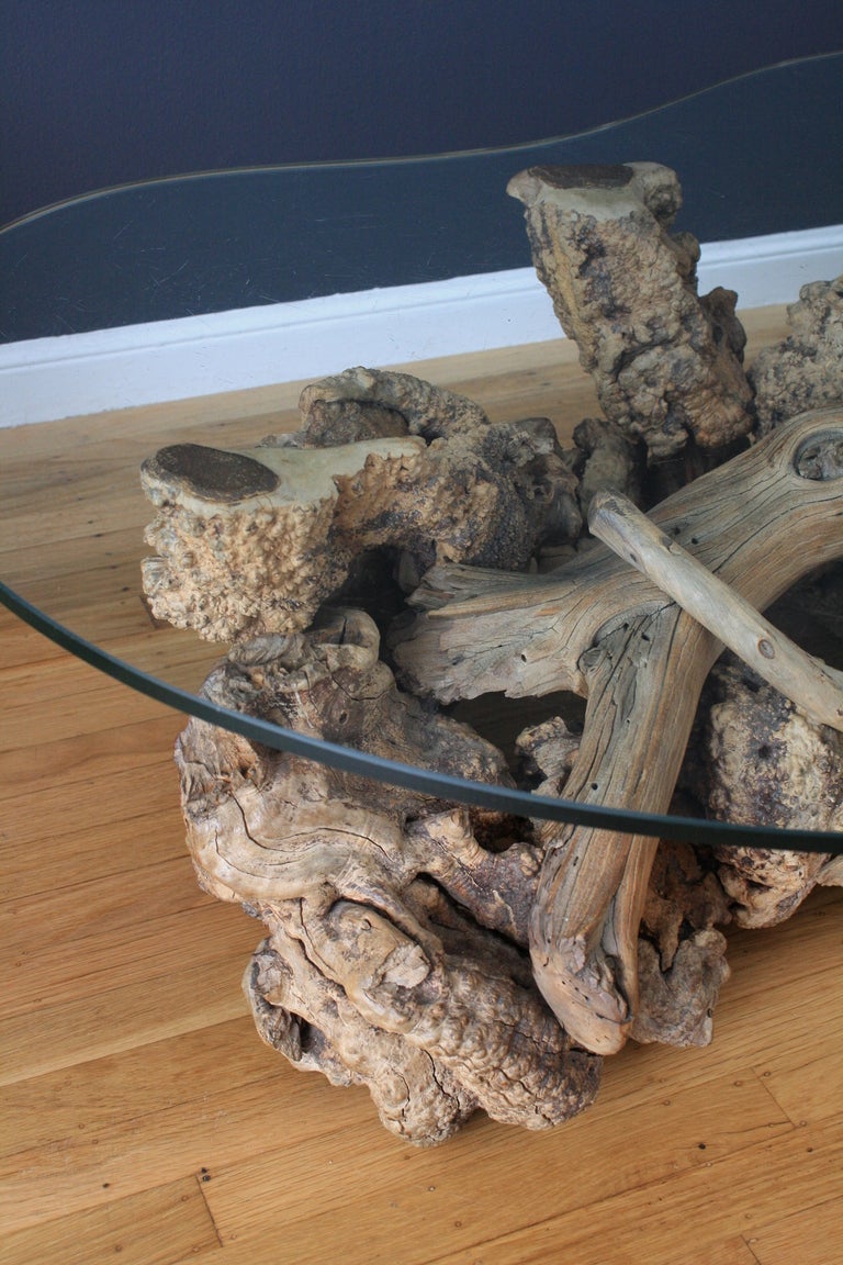 American Vintage Mid-Century Driftwood Coffee Table