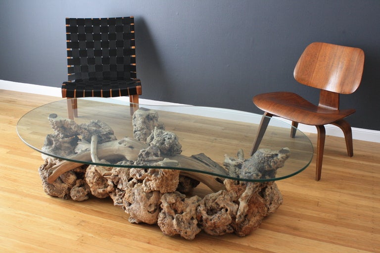 Glass Vintage Mid-Century Driftwood Coffee Table