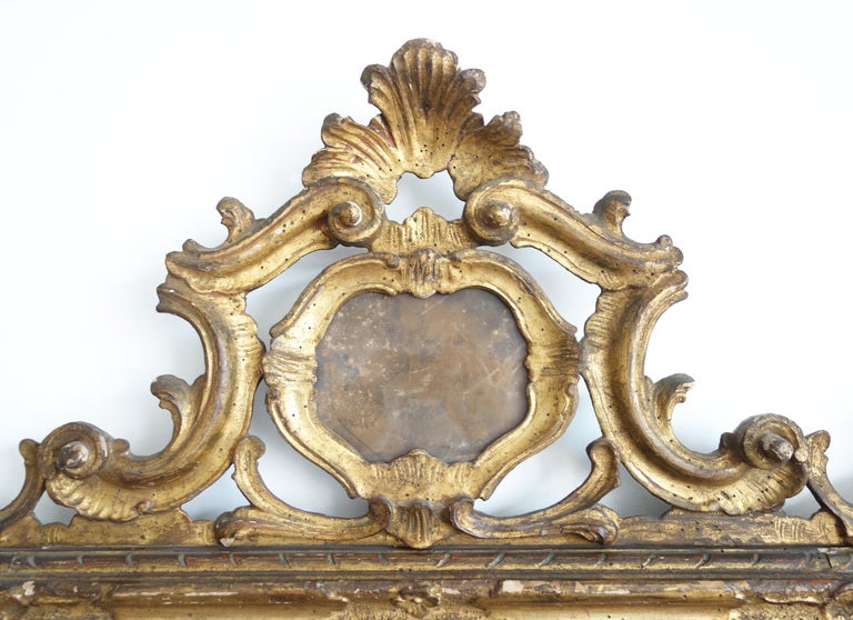18th Century and Earlier 18th Century Italian Rococo Gilt Wood Mirror