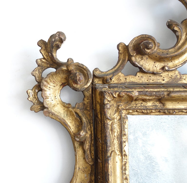 Giltwood 18th Century Italian Rococo Gilt Wood Mirror