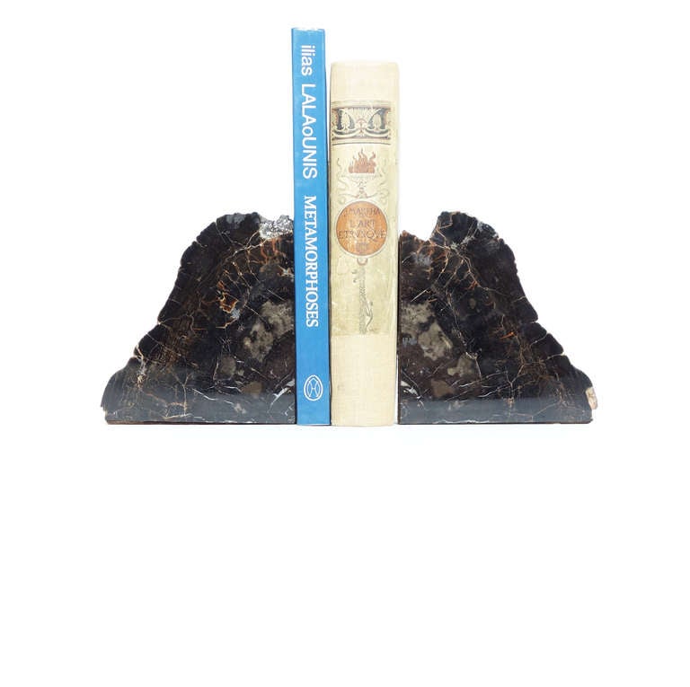 Petrified Wood Bookends In Excellent Condition In New York, NY