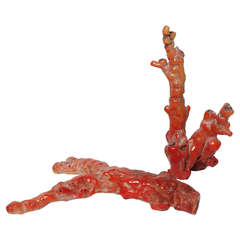 Two Rare Specimen Antique Red Coral Branches