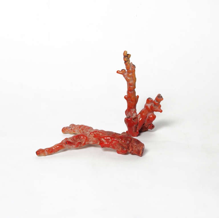 Two large, gorgeously sculptural branches of antique red coral. The smaller (upright) piece is 9 1/2