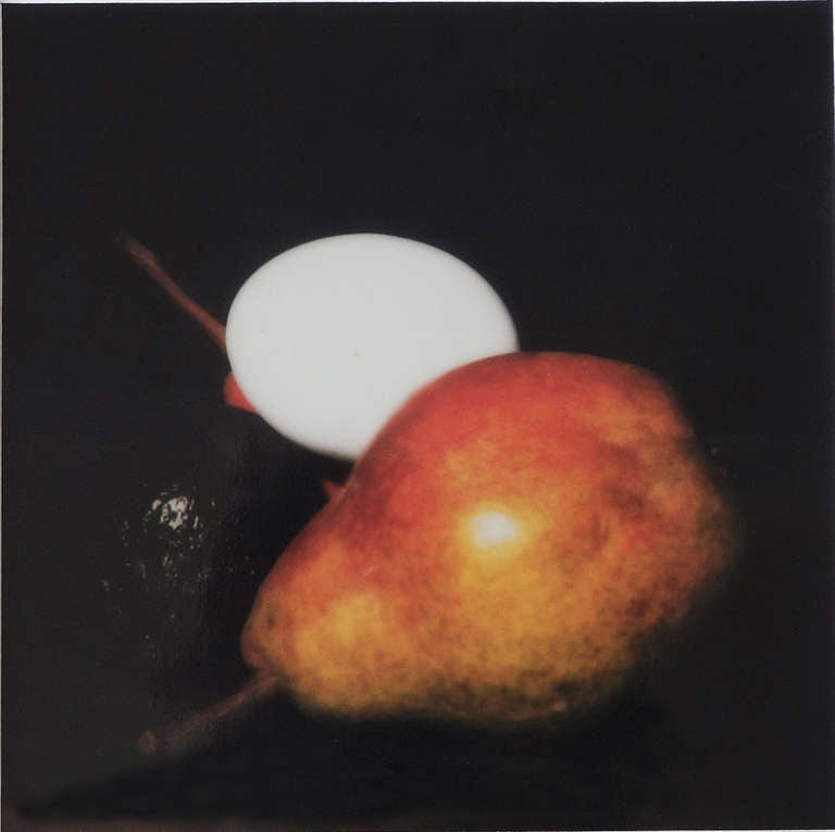 American Donald Sultan Three Photographic Studies for Still Lifes For Sale