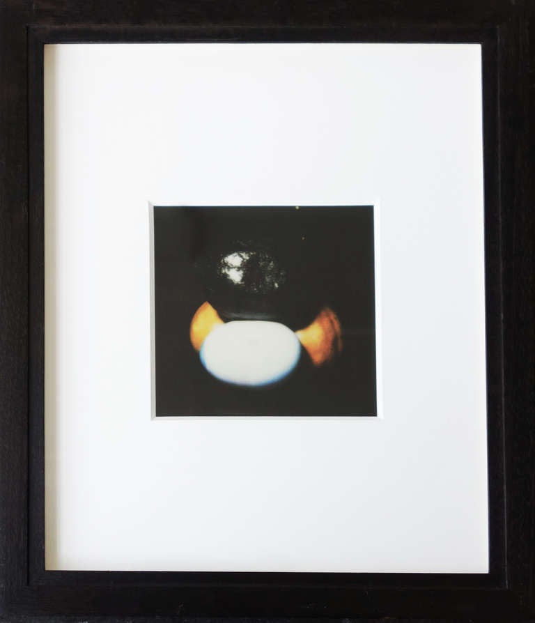 Donald Sultan Three Photographic Studies for Still Lifes For Sale 1