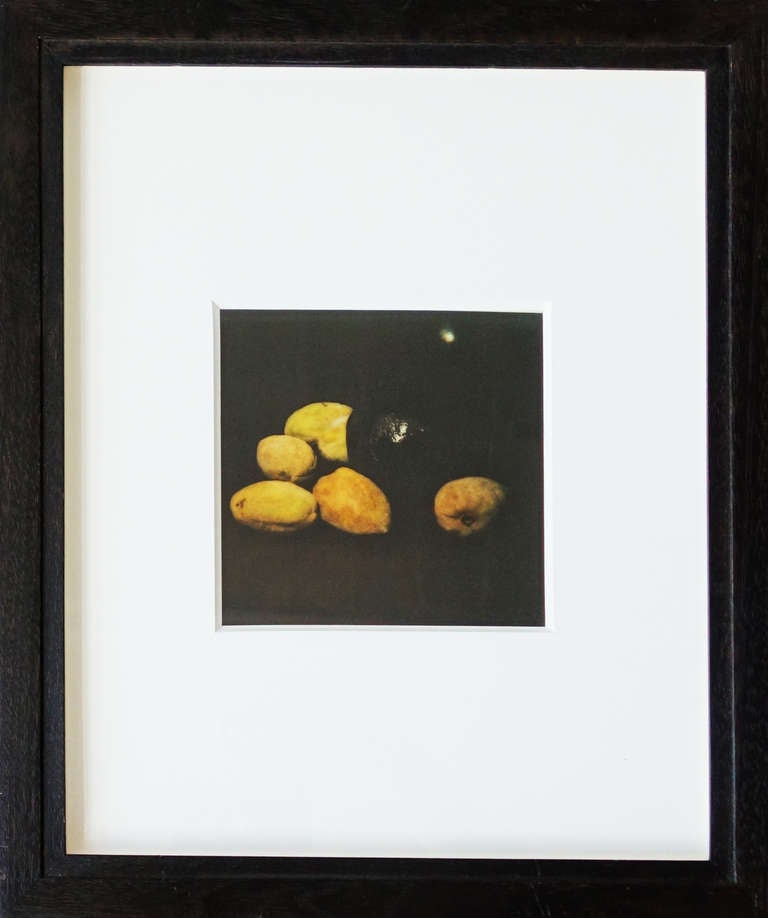 Donald Sultan Three Photographic Studies for Still Lifes In Excellent Condition For Sale In New York, NY