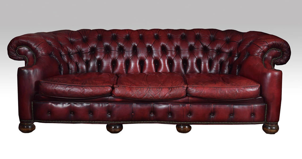 Serpentine Front Vintage Burgundy Leather Chesterfield
