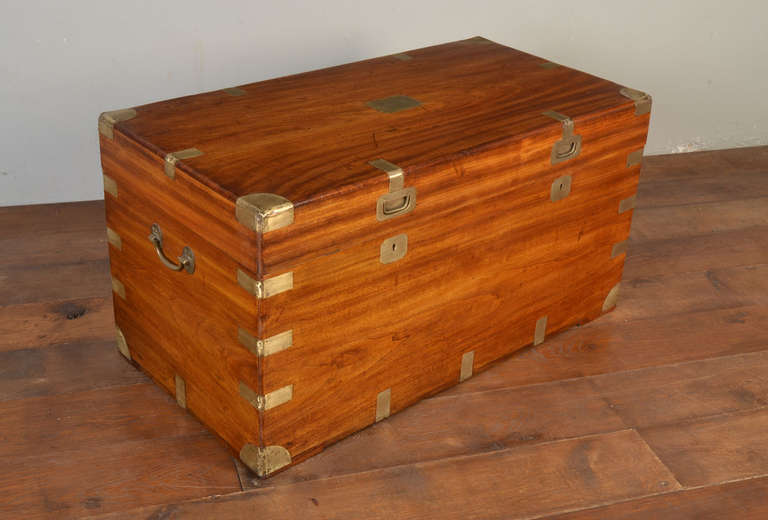 Large Chinese export brass-bound camphorwood trunk the hinged top with a brass plaque and side-carrying handles.